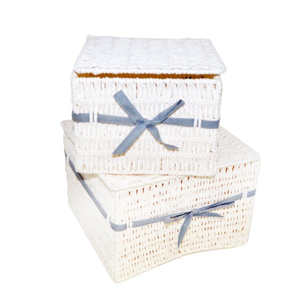 2er-sat rattanbox Storage Basket Storage Box Plastic Basket with Lid Blue anthracite (CP-6001)