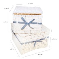 2er-sat rattanbox Storage Basket Storage Box Plastic Basket with Lid Blue anthracite (CP-6001)