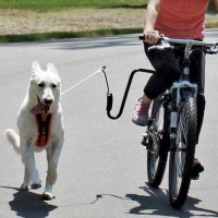 DRULINE Führhalter Abstandhalter Expander Fahrradhalter Fahrradleine Hund Biker Set